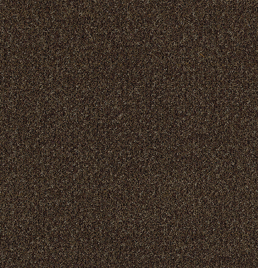 Forbo Coral Bruine Deurmatten