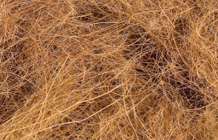 Kokosvezel, natuurlijk en hernieuwbaar bijproduct van de kokosnoot