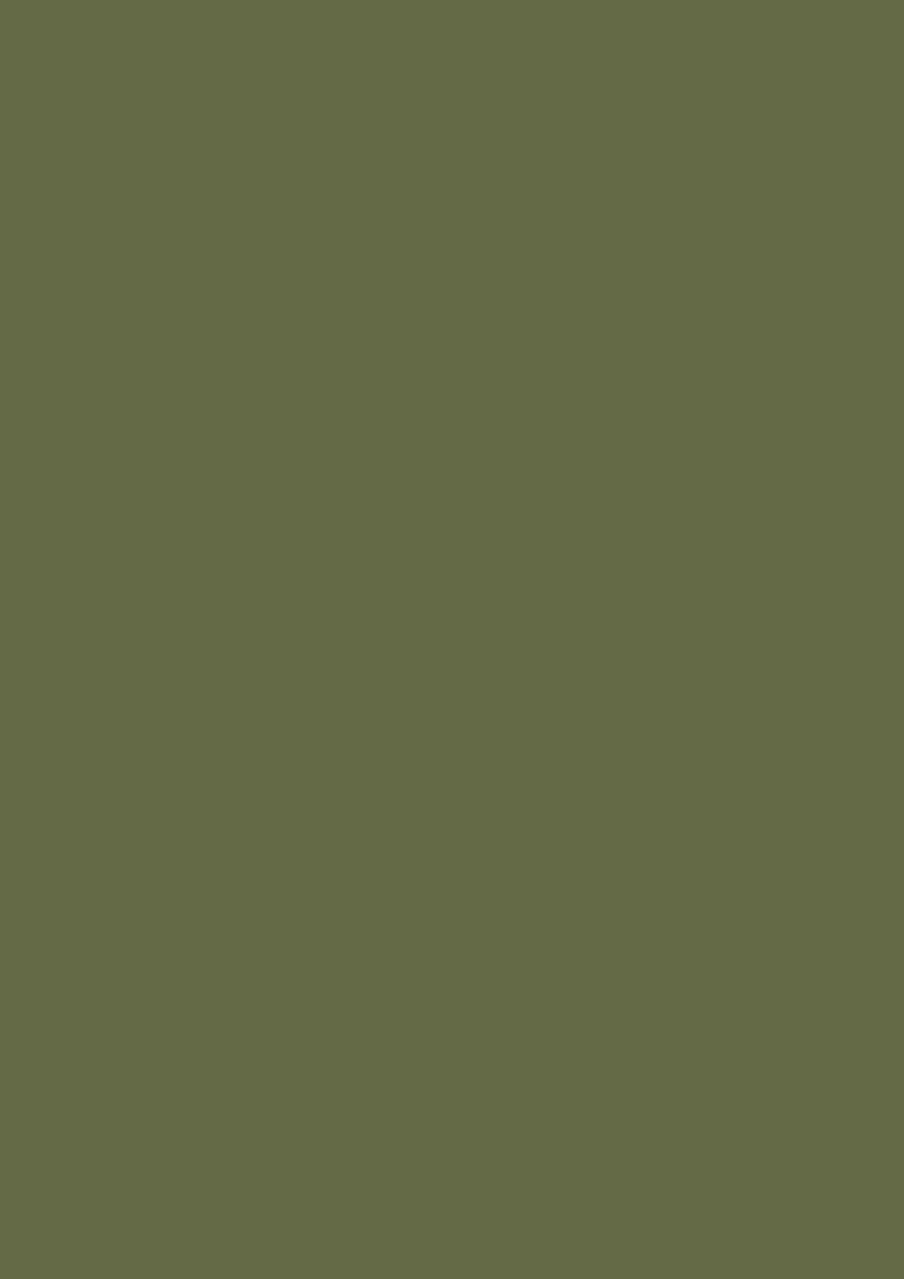 Farrow & Ball Bancha (298) Tester kleurstaal