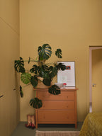 Farrow & Ball Marmelo (316) in een interieur
