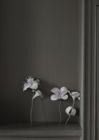 Farrow & Ball Mole's Breath (276) Tester in een interieur