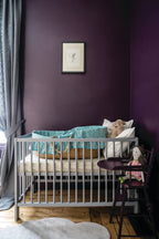 Farrow & Ball Pelt (254) in een interieur