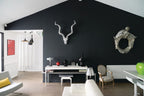 Farrow & Ball Pitch Black (256) Tester in een interieur