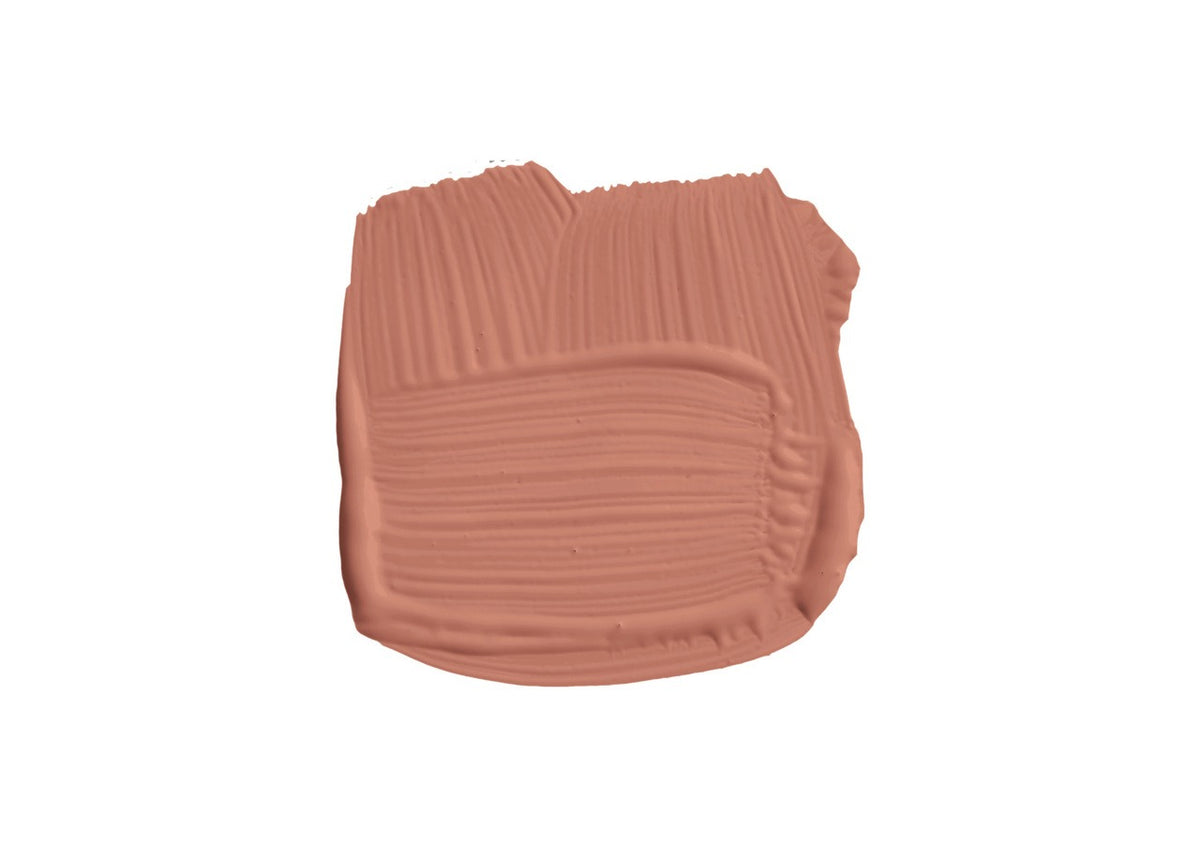 Farrow & Ball Red Earth (64) Tester penseelstreek