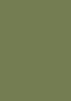 Farrow & Ball Sap Green (199) kleurstaal