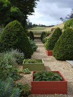 Farrow & Ball Sap Green (199) in een interieur