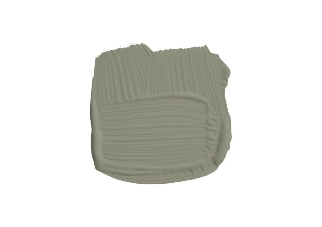 Farrow & Ball Treron (292) penseelstreek