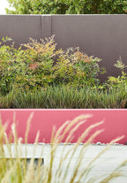 Little Greene Carmine (189) in een interieur