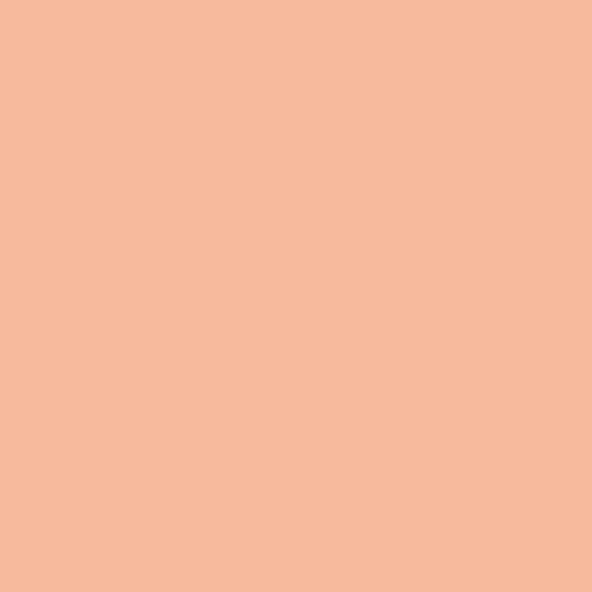 Little Greene Conche kleurstaal