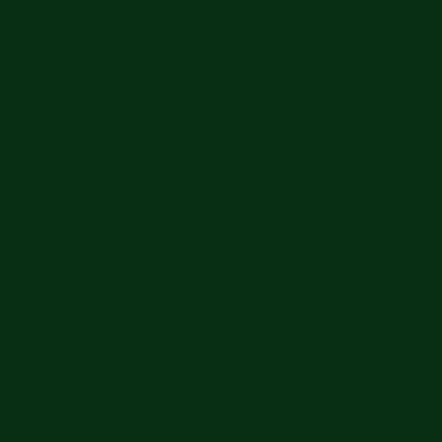 Little Greene Dark Brunswick Green (88) kleurstaal