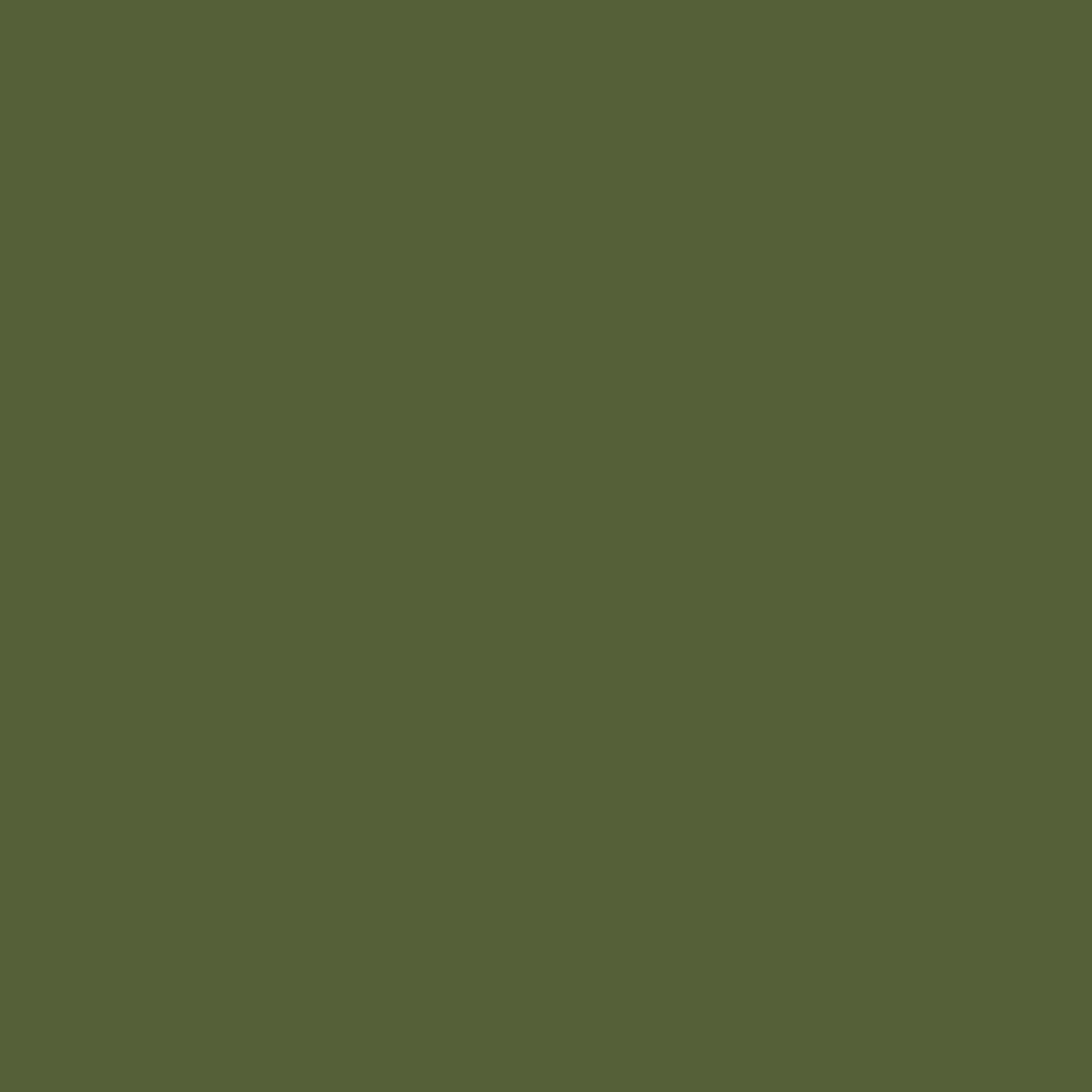 Little Greene Jewel Beetle (303) kleurstaal