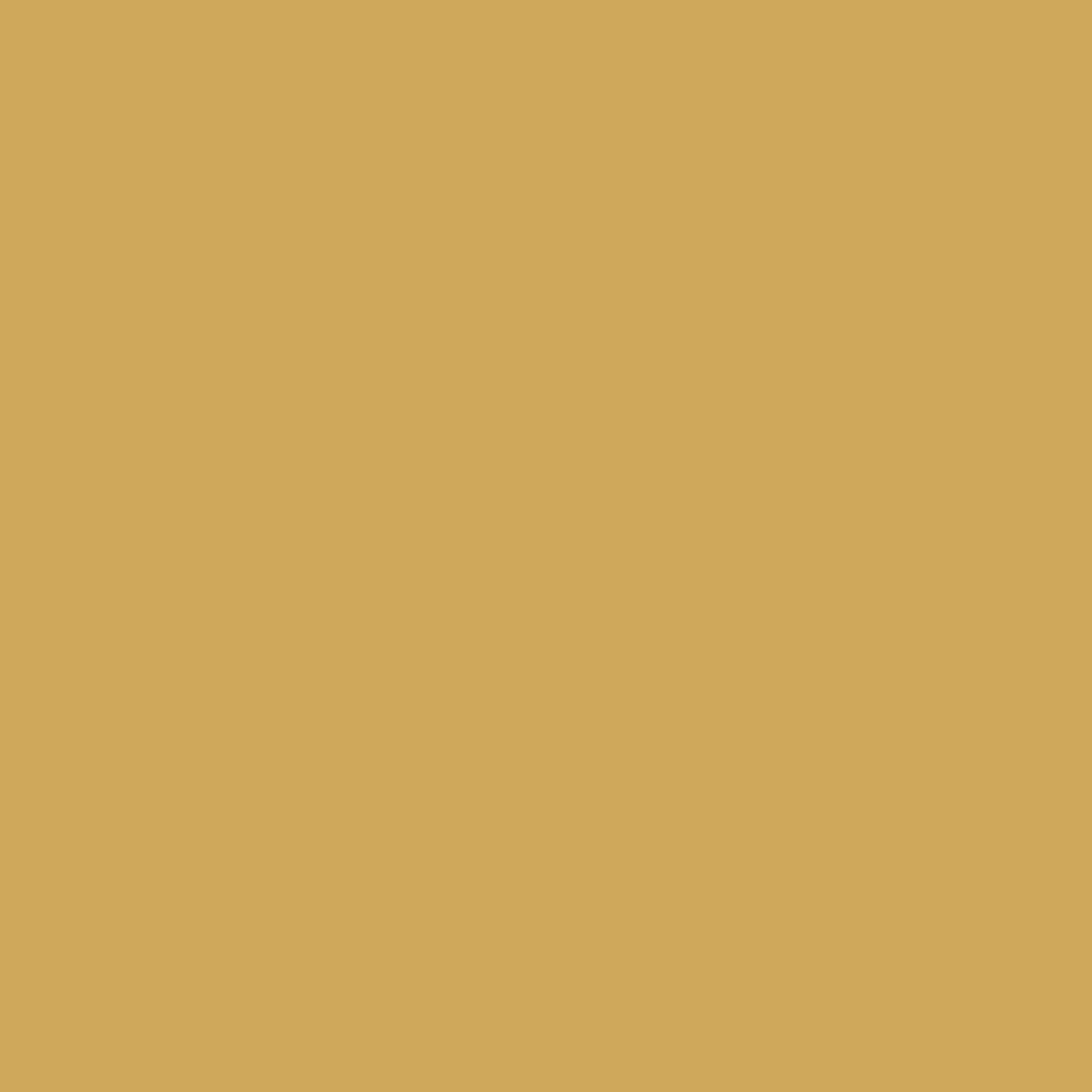 Little Greene Light Buff kleurstaal