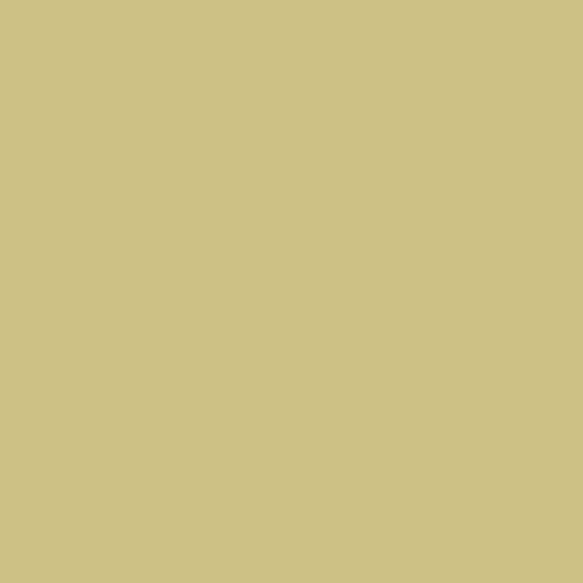 Little Greene Oak Apple (63) - Tester kleurstaal
