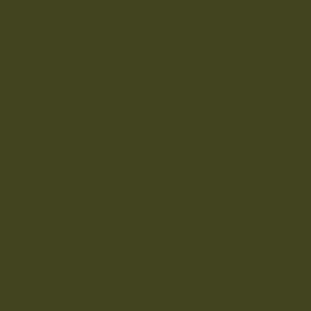 Little Greene Olive Colour (72) - Tester kleurstaal