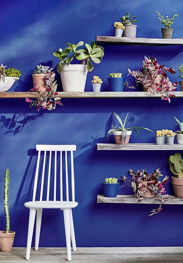 Little Greene Smalt (255) - Tester in een interieur
