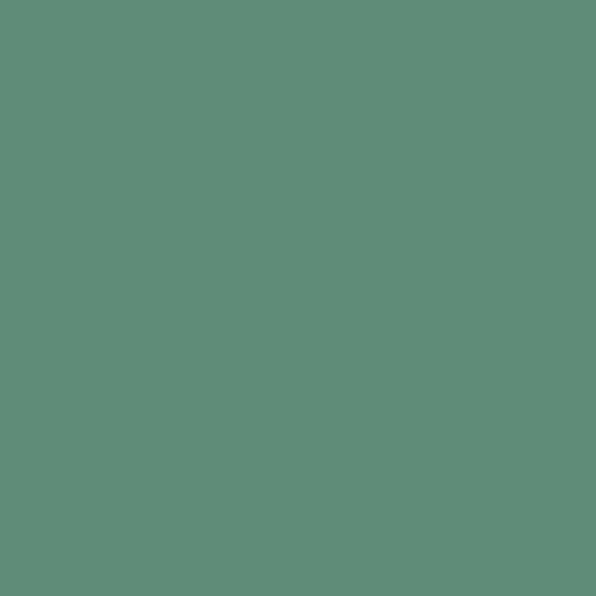 Little Greene Woodland kleurstaal
