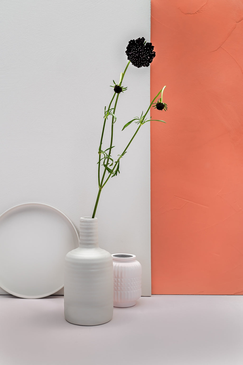 Pure & Original Calm Licetto muurverf in interieur