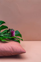 Pure & Original Chalky Coral Licetto muurverf in interieur