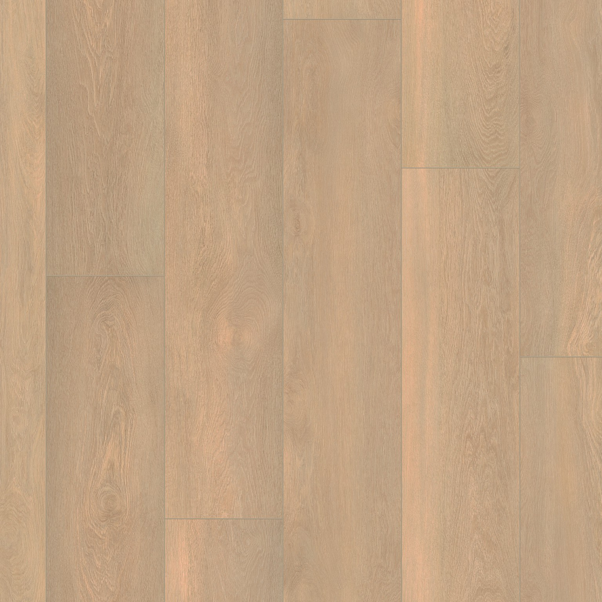 Ambiant Arnstadt Beige Eiken - Laminaat Stroken