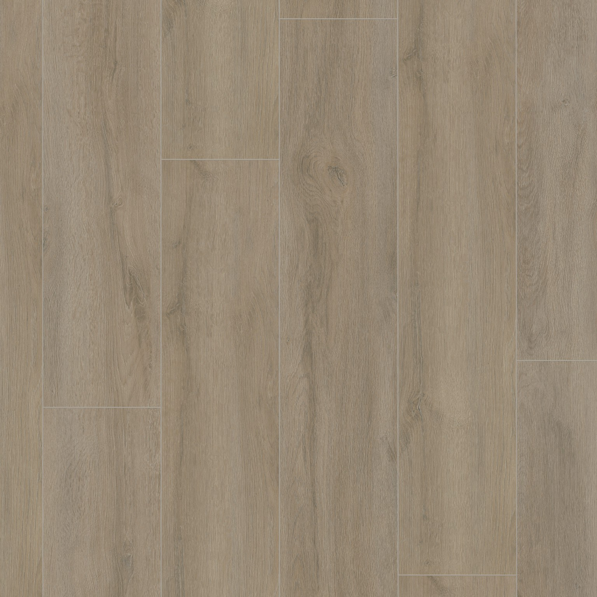 Ambiant Prestige Oak Grijsbruin Eiken  - Laminaat Stroken