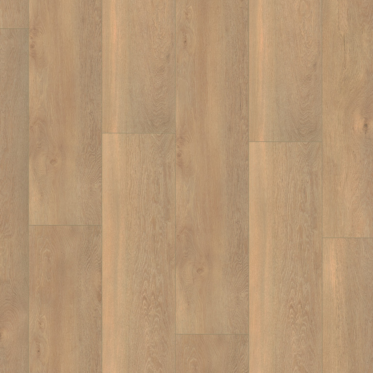 Ambiant Saarland Beige Eiken - Laminaat Stroken