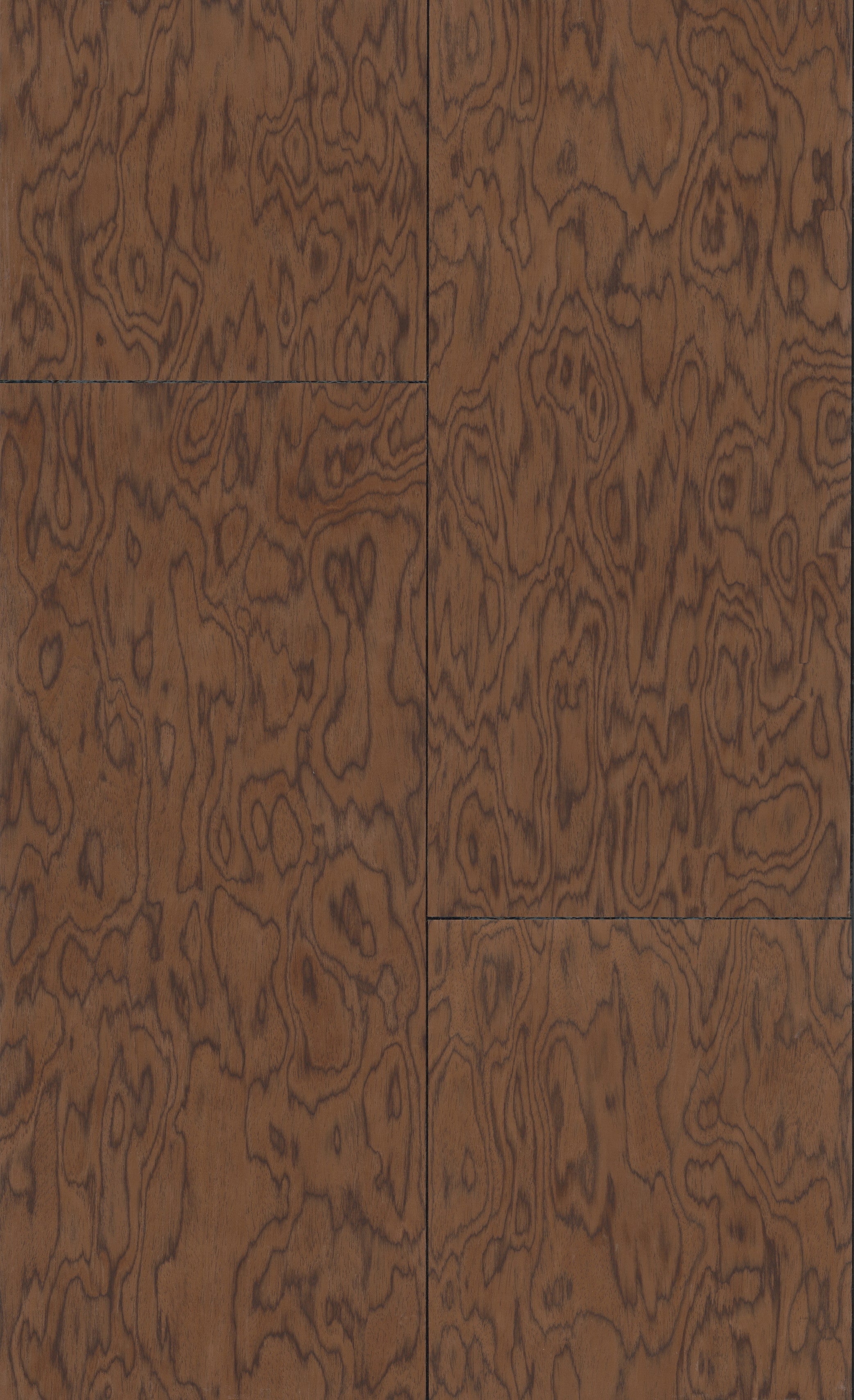 Staal Arte Emblème Coti 30802 Chocolate
