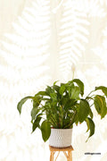 Eijffinger behang Geonature 366106