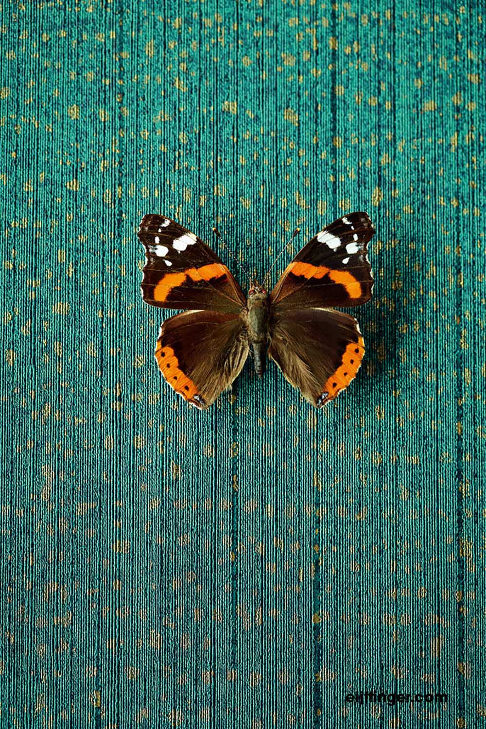 Eijffinger behang Masterpiece 358061
