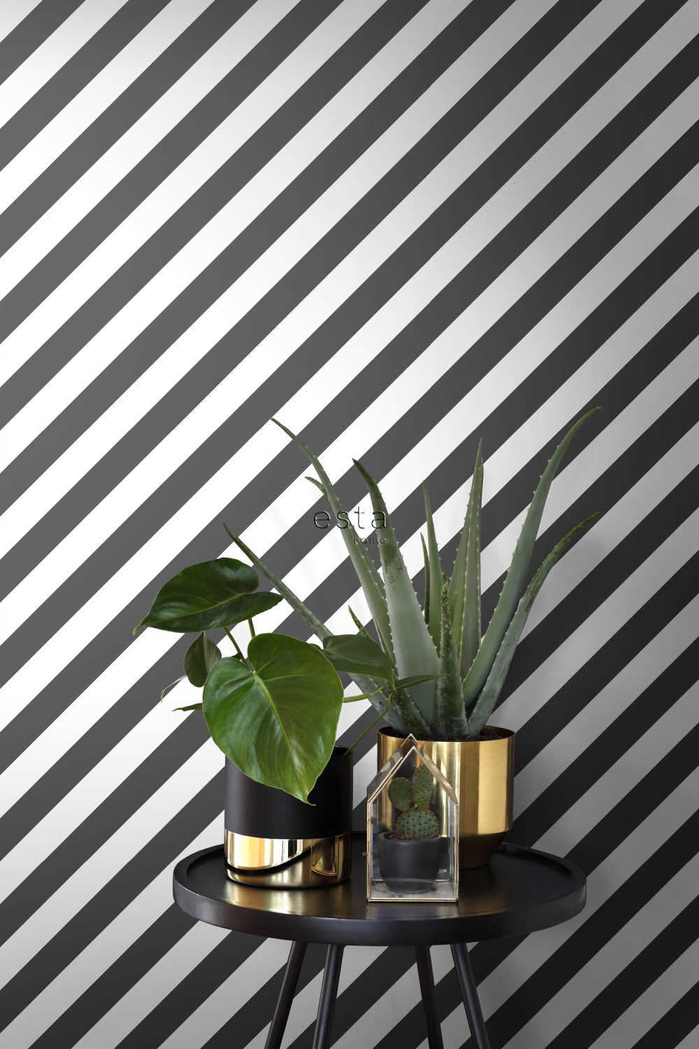 Esta Home Black & White with a splash of Gold 139112