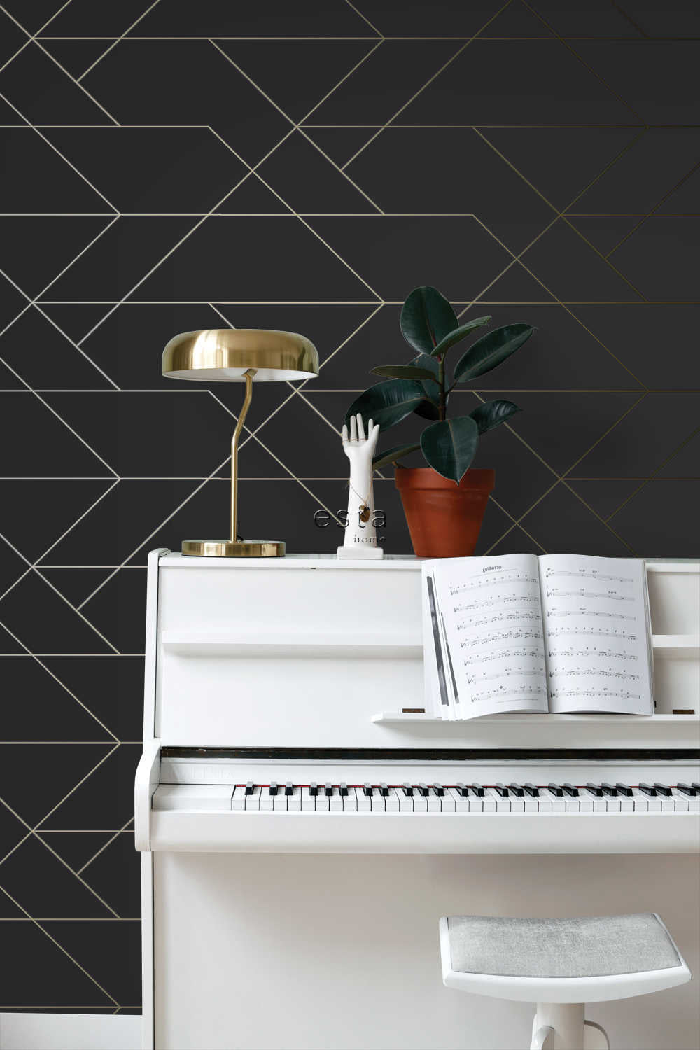 Esta Home Black & White with a splash of Gold 139144