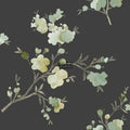 Esta Home Blush 148719