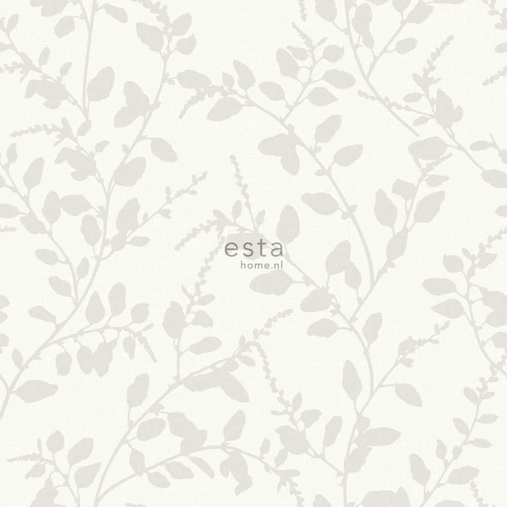 Esta Home Blush 148728