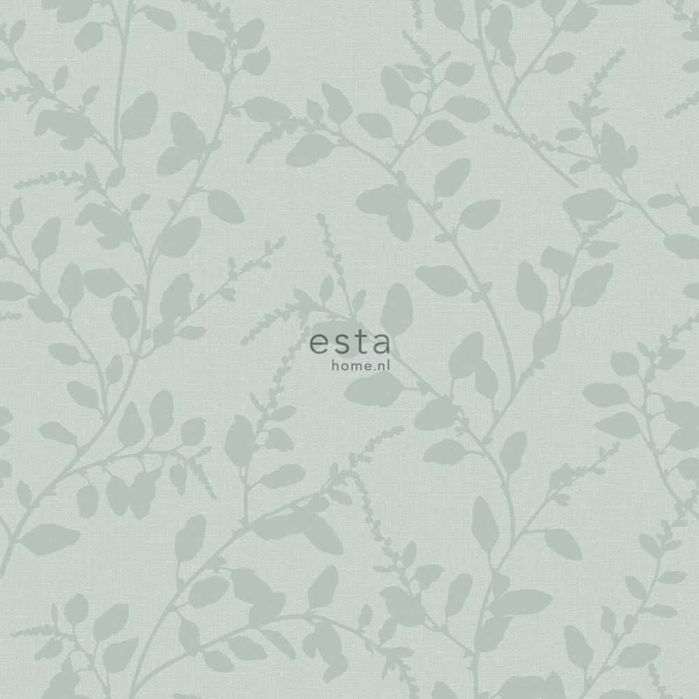 Esta Home Blush 148729
