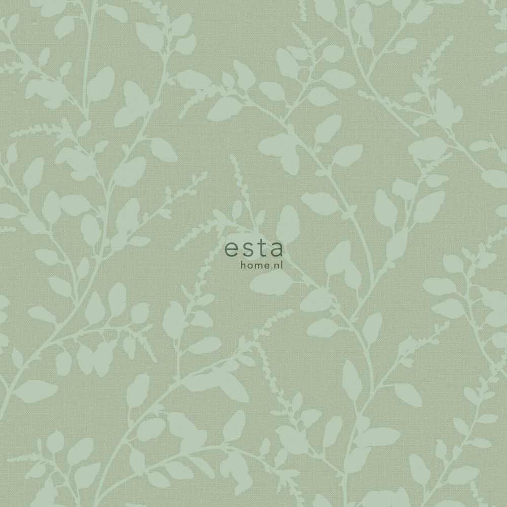 Esta Home Blush 148731