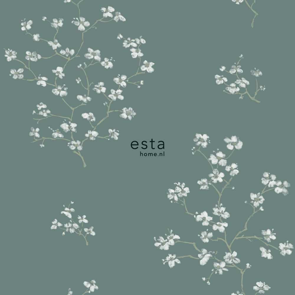 Esta Home Blush 148736