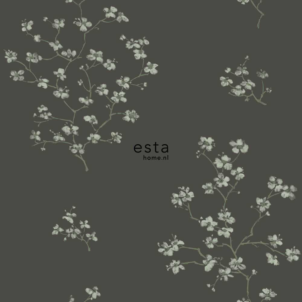 Esta Home Blush 148737
