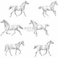 Esta Home College 128807