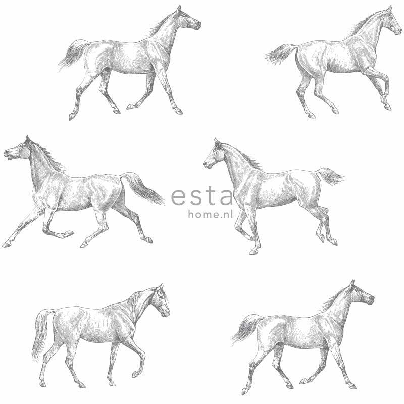 Esta Home College 128807