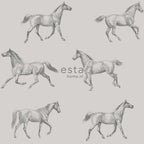 Esta Home College 128808