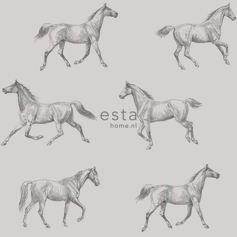 Esta Home College 128808