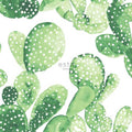 Esta Home Greenhouse 138902