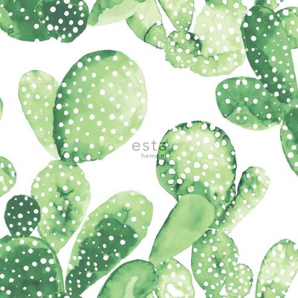 Esta Home Greenhouse 138902