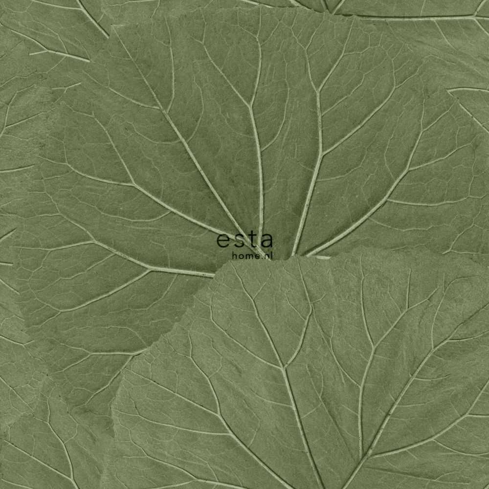 Esta Home Jungle Fever 138995