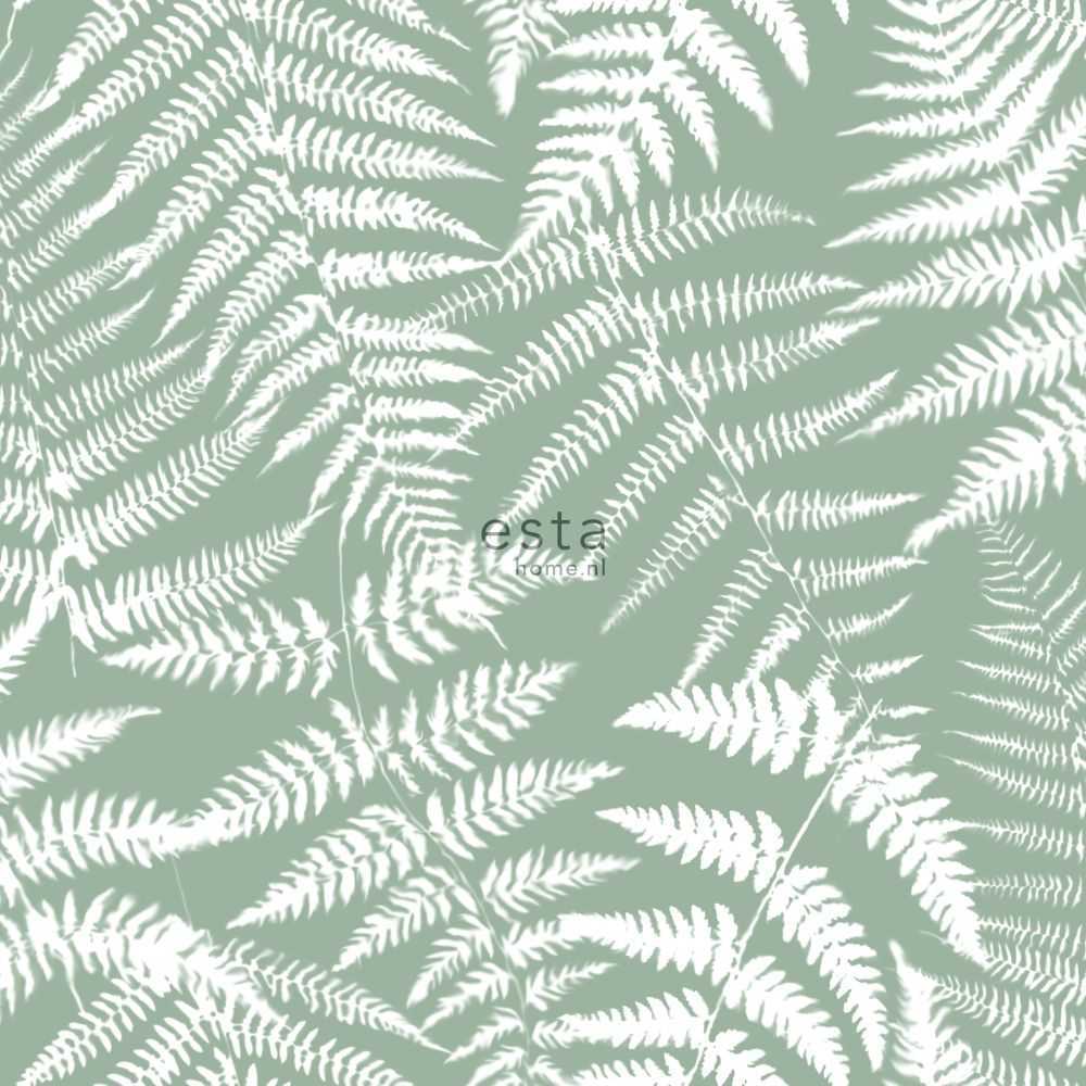 Esta Home Jungle Fever 138998