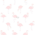 Esta Home Little Bandits 138918