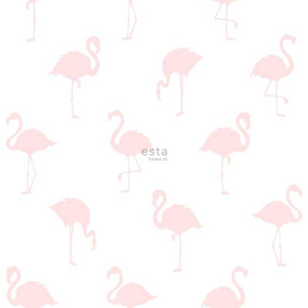 Esta Home Little Bandits 138918