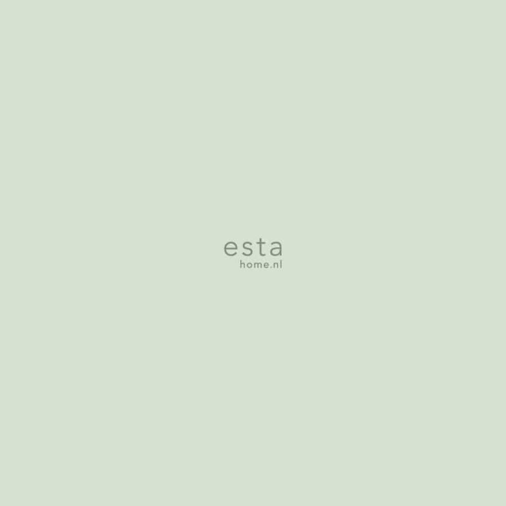 Esta Home Little Bandits 138923