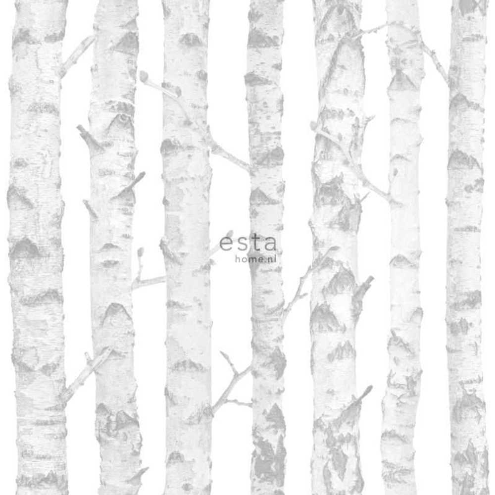Esta Home Little Bandits 138944