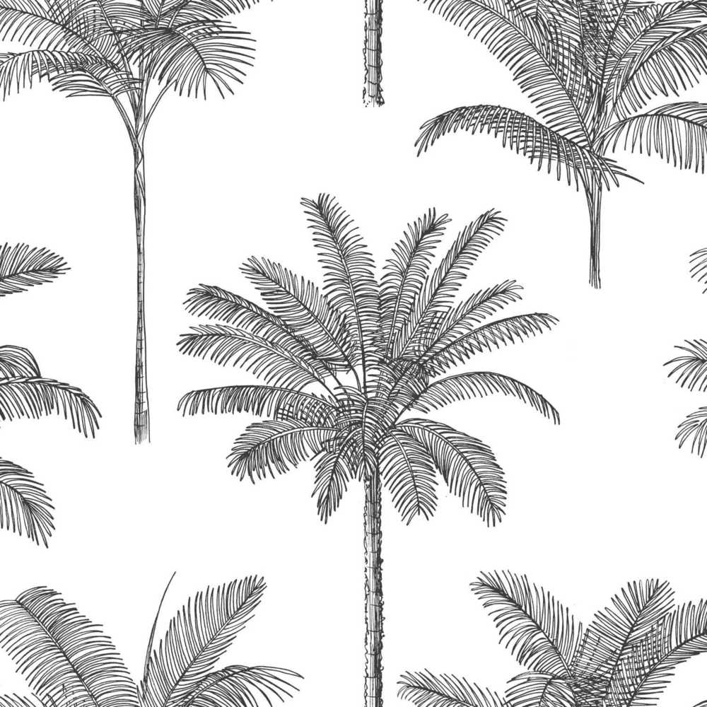 Esta Home Paradise 139162