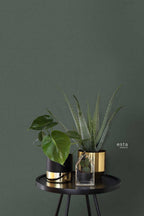 Esta Home Paradise 148748